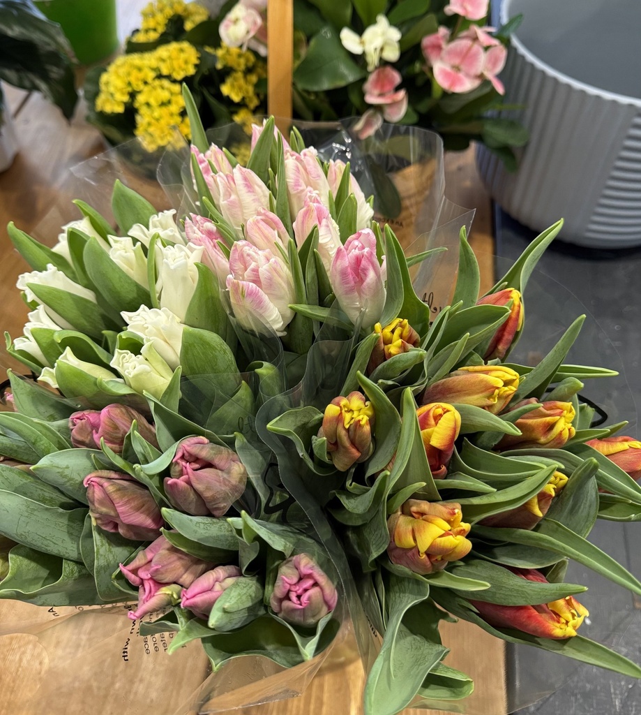 Novelty Tulip Arrangement