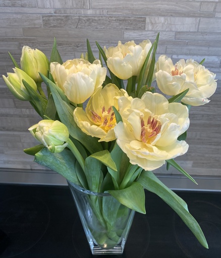 Novelty Tulip Arrangement